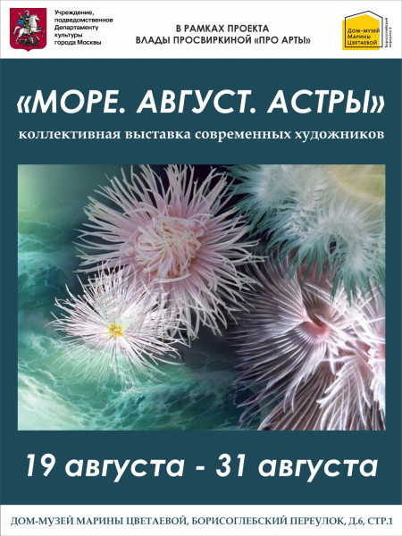 Море Август Астры